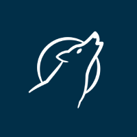 Backend Developer